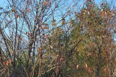 20191018_160934_2160