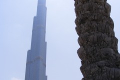 thaimal2010_0037