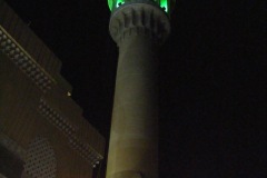 thaimal2010_0102