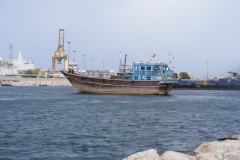 thaimal2010_0148