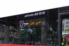 thaimal2010_0169