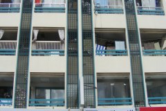 thaimal2010_0174