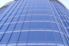 thaimal2010_0206