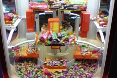 thaimal2010_0293