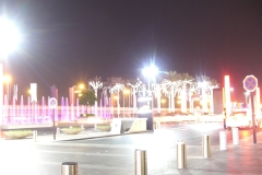 thaimal2010_0335