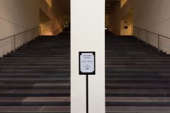 IMG_1698_2160