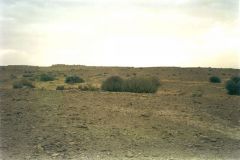 indien2002_0031_2160