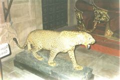 indien2002_0059_2160