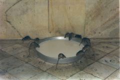 indien2002_0070_2160
