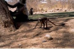 indien2002_0127_2160