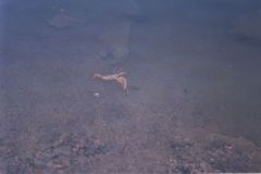 indien2002_0134_2160