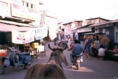 indien2002_0147_2160