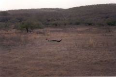 indien2002_0158_2160