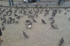 uefacupfinal_0020_2160