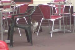 uefacupfinal_0028_2160