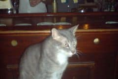 uefacupfinal_0031_2160