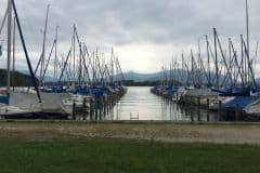 IMG_5455_2160