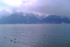 juvewerd_0007_2160