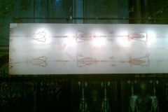 juvewerd_0031_2160