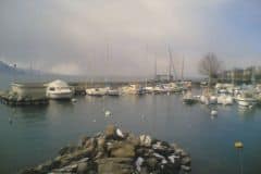juvewerd_0127_2160