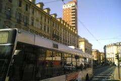 juvewerd_0163_2160
