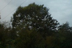 DSC02429
