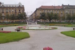 DSC02550