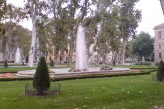 DSC02551