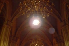DSC02557