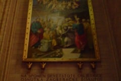 DSC02564