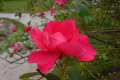 DSC02575