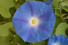 DSC02577